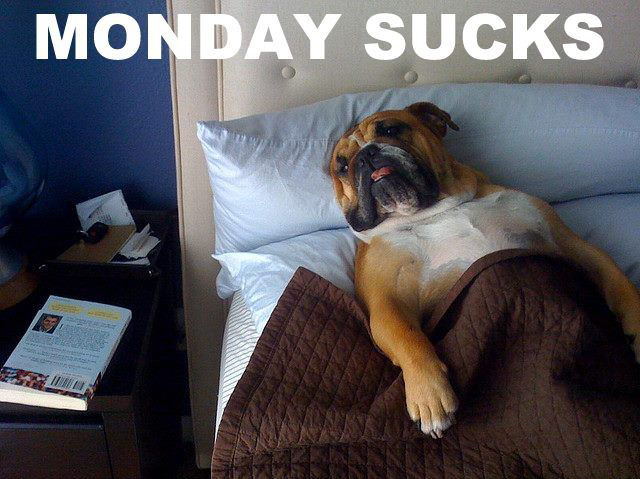 Mondays Suck - capturethecool.com