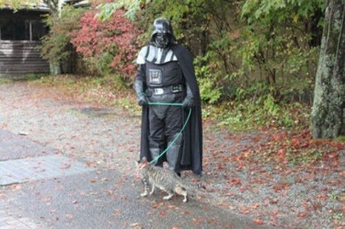 Darth Vader walking his cat - capturethecool.com
